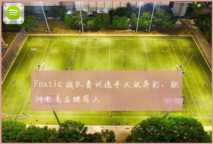 Fnatic 战队青训选手大放异彩，欧洲电竞后继有人