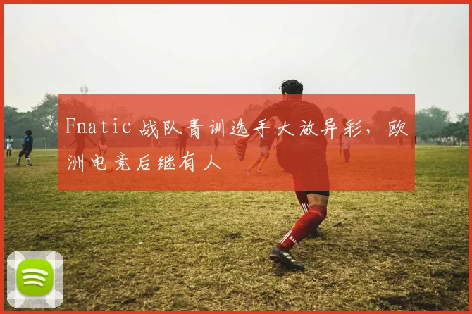 Fnatic 战队青训选手大放异彩,欧洲电竞后继有人